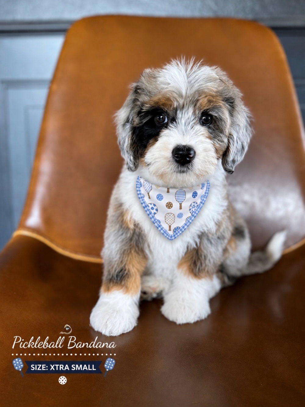 New! Pickle Ball Ruffle Dog Bandana-Extra Small